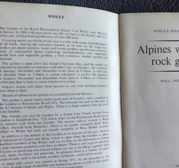Alpines without a rock garden