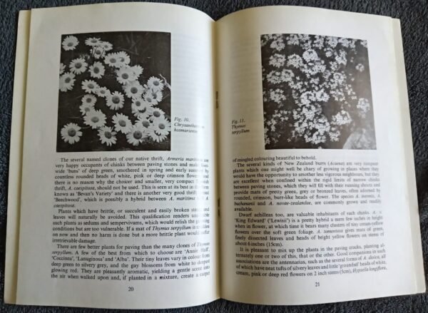 Alpines without a rock garden
