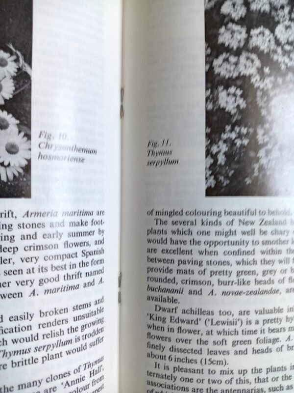 Alpines without a rock garden