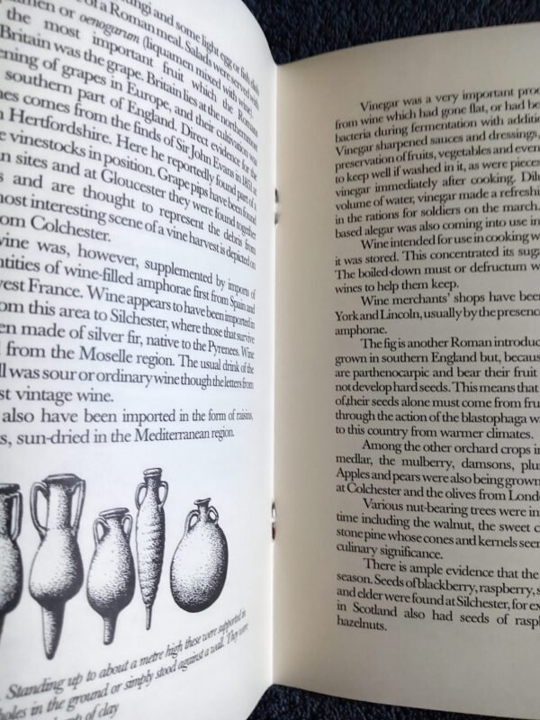 Food and Cooking in Roman Britain History and Recipes
