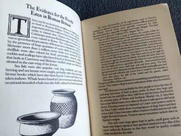 Food and Cooking in Roman Britain History and Recipes