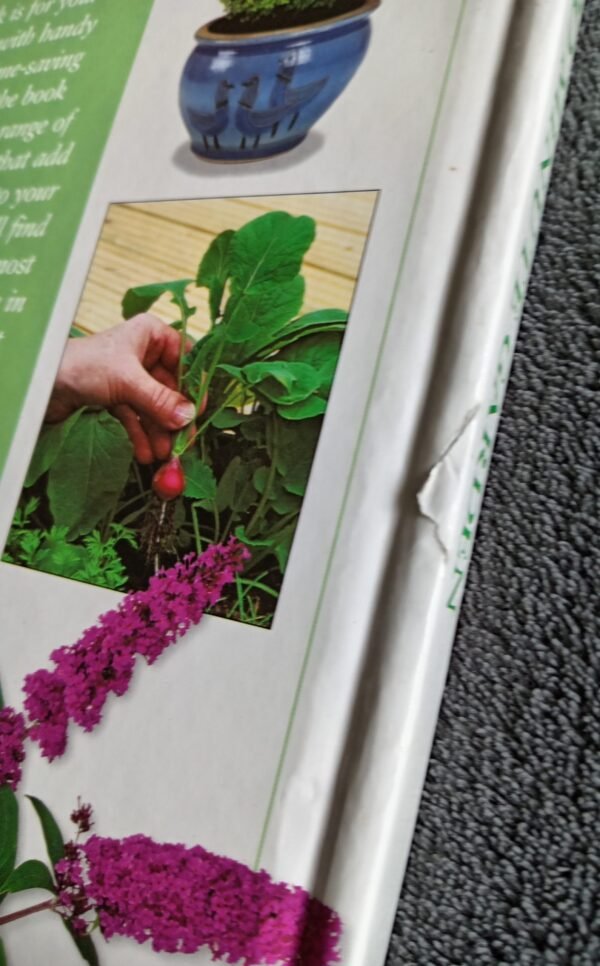 A Busy Person's Guide to the 20 Minute Garden