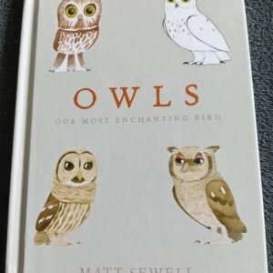 Owls Our Most Enchanting Bird: Book by Matt Sewell