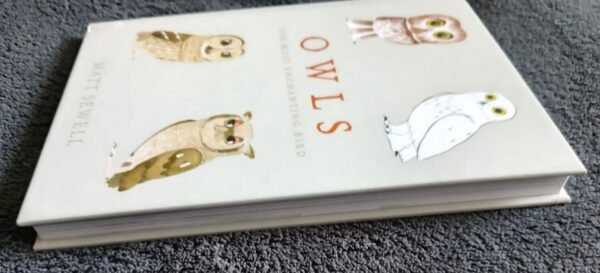 Owls Our Most Enchanting Bird: Book by Matt Sewell - Image 6